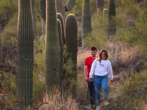 two people, walking on trail with saguaro cacti