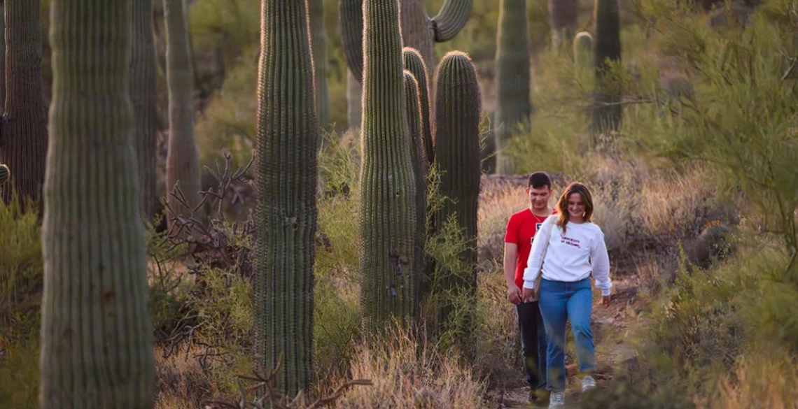 two people, walking on trail with saguaro cacti